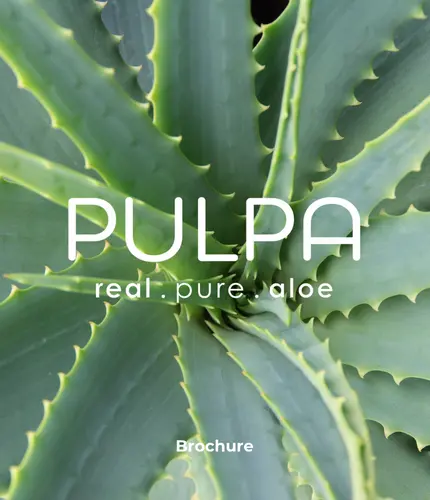 Graphisme et création de brochure pour marque de produits naturels en Suisse